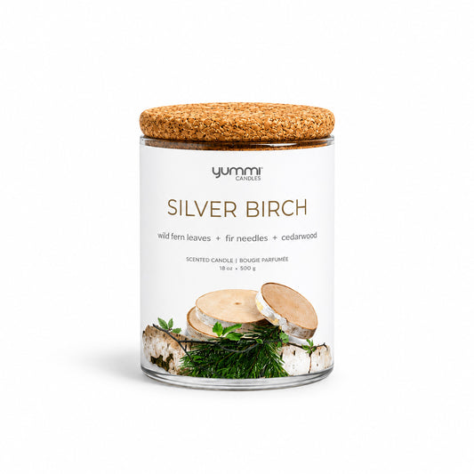 18oz Silver Birch Scented Jar Candles
