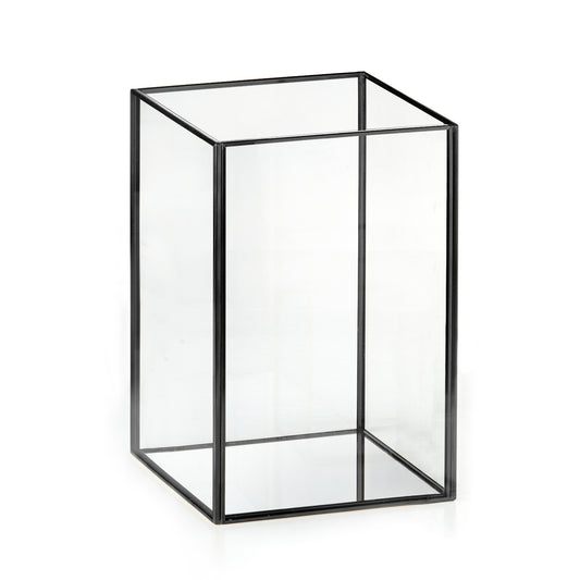 9" Black Lantern - each