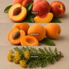 Yummi Candles - Bulk 18oz Stone Fruits Scented Jar Candles - Lifestyle - 1