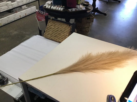 40" Pampas Grass - Natural