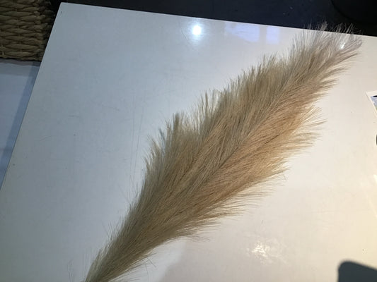 40" Pampas Grass - Natural