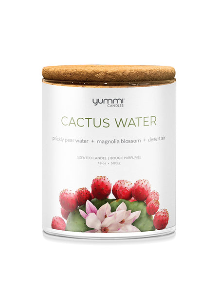 18oz Scented Jar Candles - Cactus Water